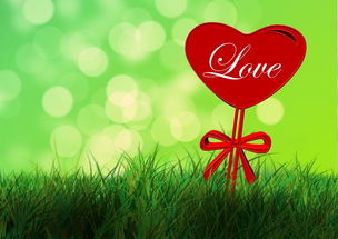 如何创作一幅生动有趣的生活手抄报