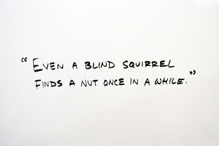 如何用英语表达生活经历,实用短语与表达方式