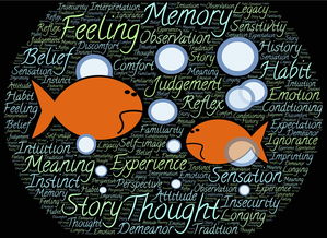 经历生活,如何用英文记录和分享你的故事