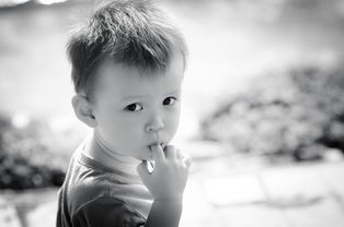 生活之美,从画画中发现日常的灵感 生活之美,从画画中发现日常的灵感