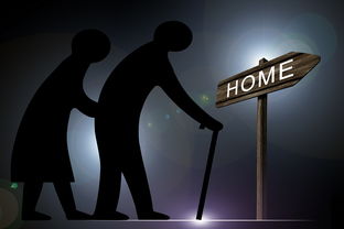 从平凡到非凡,我的自媒体生活达人之路 从平凡到非凡,我的自媒体生活达人之路