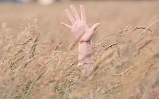 生活经历,400字的感悟与成长 生活经历,400字的感悟与成长