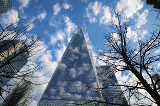 绘生活之美,如何捕捉日常中的艺术灵感 绘生活之美,如何捕捉日常中的艺术灵感