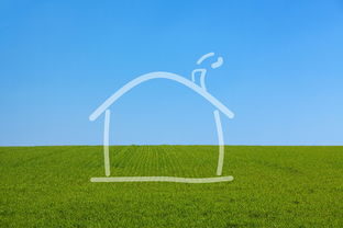 生活达人指南,如何高效规划你的一天 生活达人指南,如何高效规划你的一天