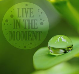 生活常识,提升生活质量的隐形翅膀 生活常识,提升生活质量的隐形翅膀