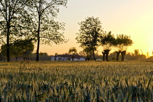 生活如诗,感悟如歌,那些唯美的生活经历句子 生活如诗,感悟如歌,那些唯美的生活经历句子