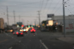 生活之路,一首触动心灵的歌曲,演唱者背后的故事 生活之路,一首触动心灵的歌曲,演唱者背后的故事