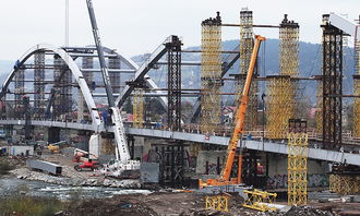 跨越语言的桥梁,我的生活经历故事