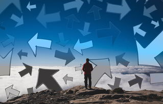 生活的乐趣,在平凡中寻找非凡