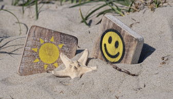 生活的乐趣,300字的微观世界