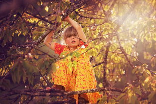 爱在生活,点滴中的温情与力量